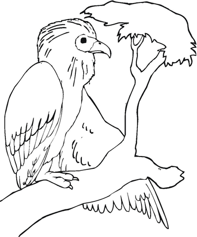 Buzzard Is Sitting On The Tree Branch  Coloring Page